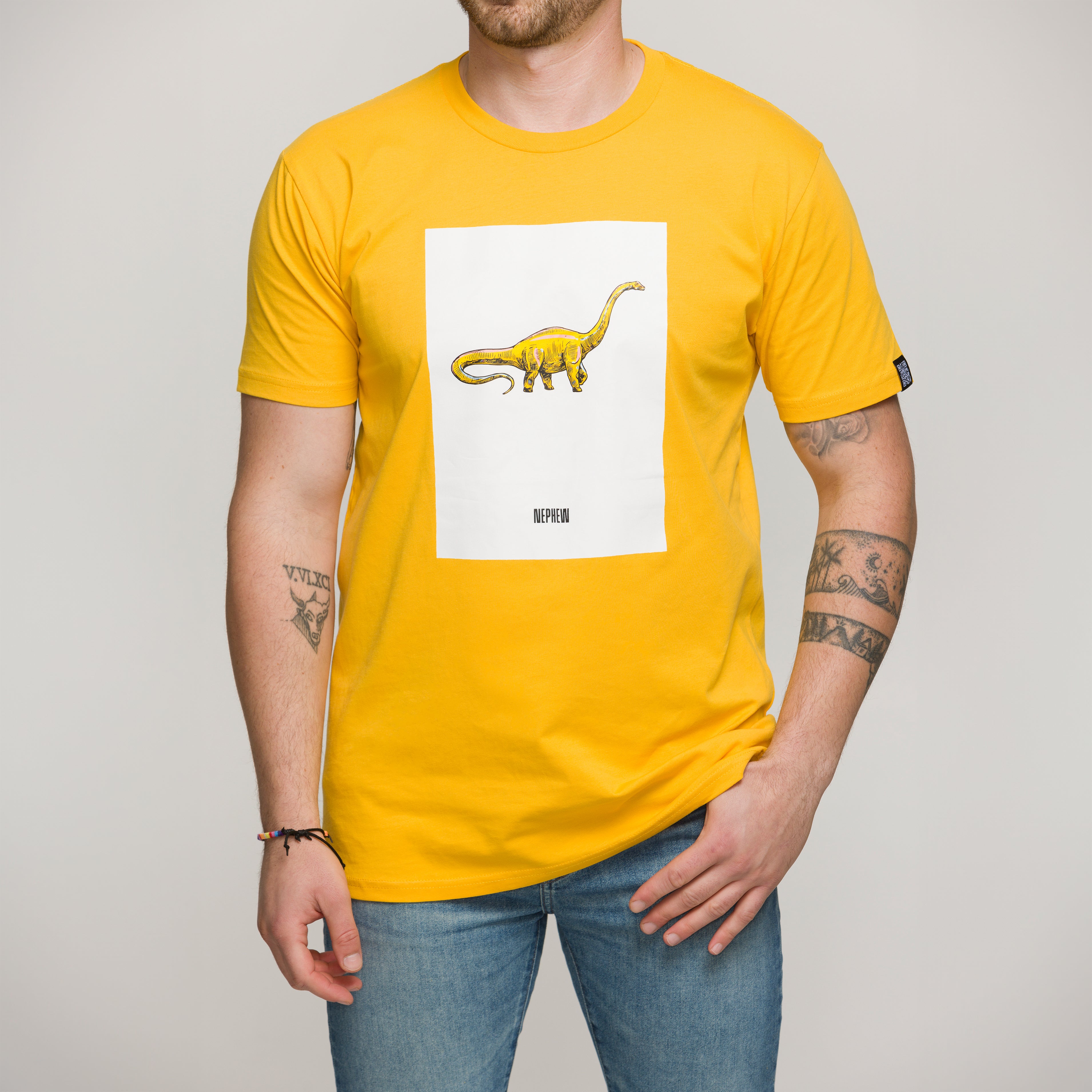 T discount shirt diplodocus